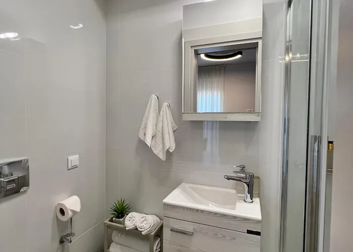 Blue Loft 公寓 纳夫普利翁